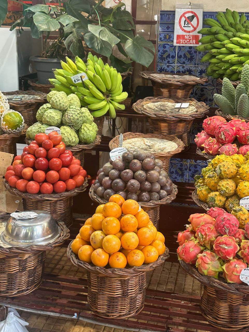 fruits of the market